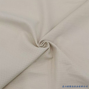 Wholesale 0.2 Ripstop Summer Clothing Quick Dry Polyester Woven Fabric